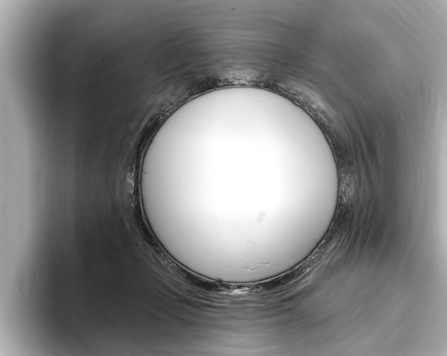 X0000093760365200710160841