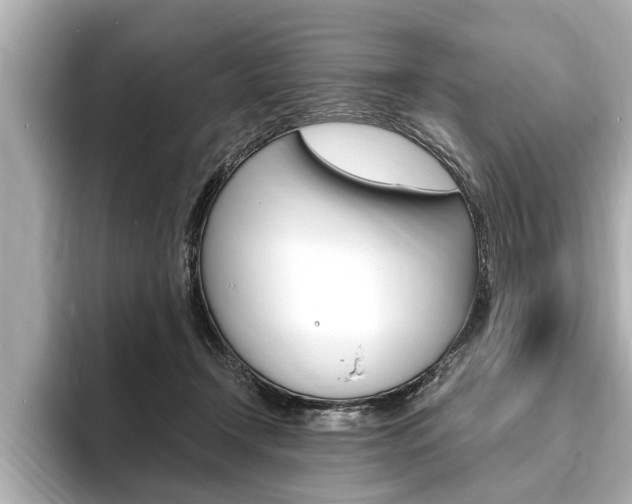 X0000093760366200710160841