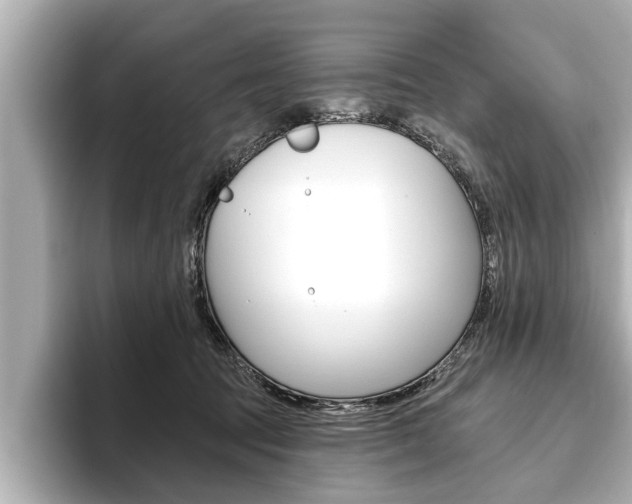 X0000093760369200710160841