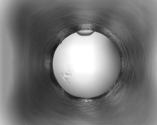 X0000093760379200710160841