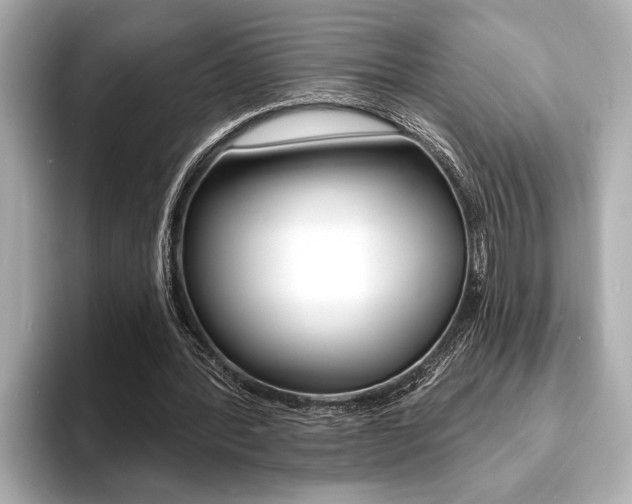 X0000093760388200710160840
