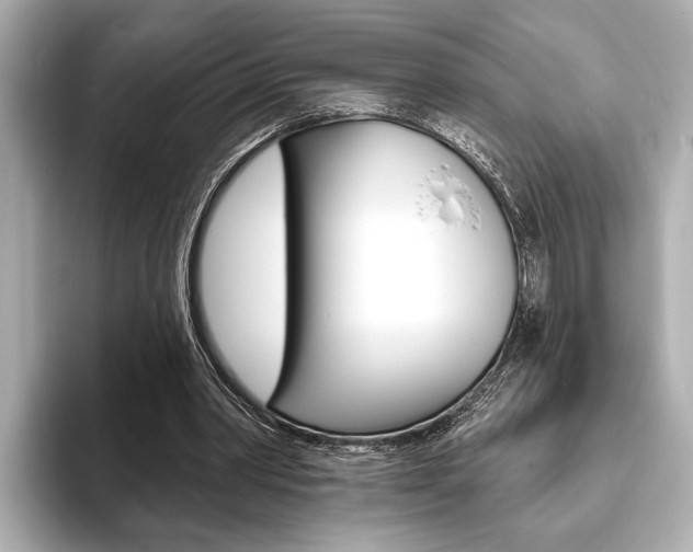 X0000093760390200710160840