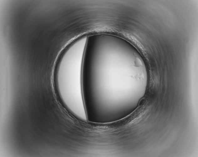 X0000093760391200710160840