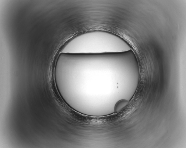 X0000093760394200710160840