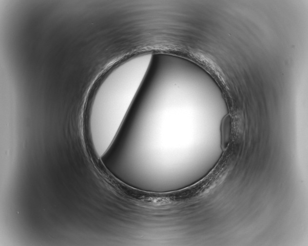 X0000093760395200710160840