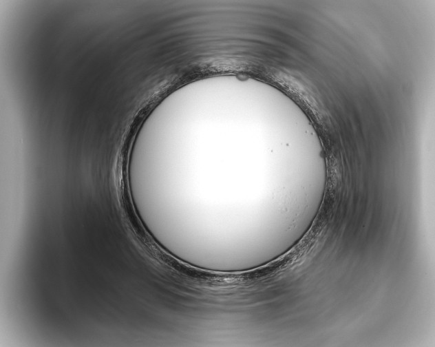 X0000093760398200710160840