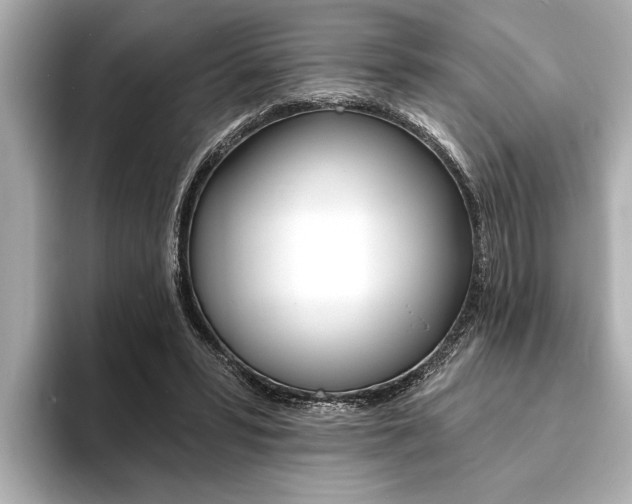 X0000093760399200710160840