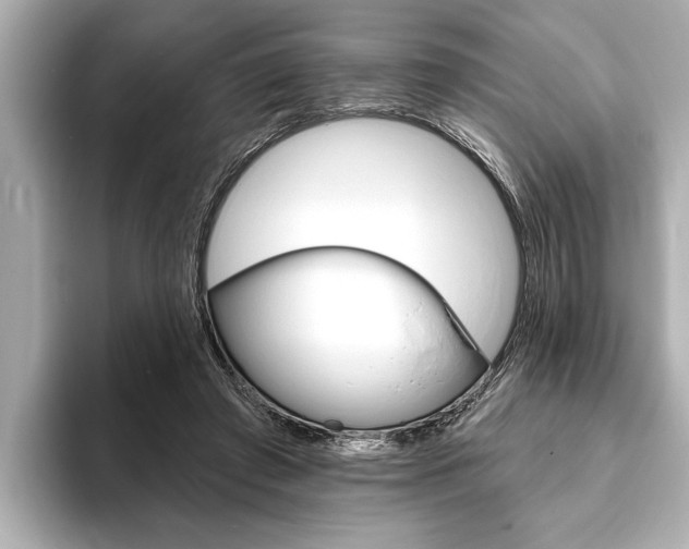 X0000093760401200710160840