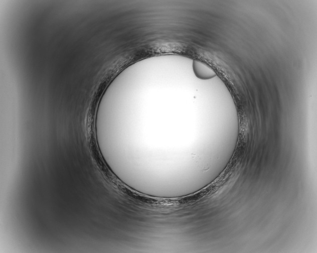 X0000093760402200710160840
