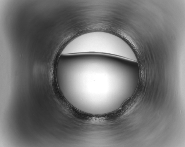 X0000093760403200710160840