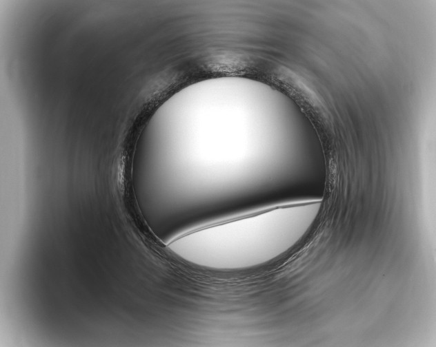 X0000093760404200710160840