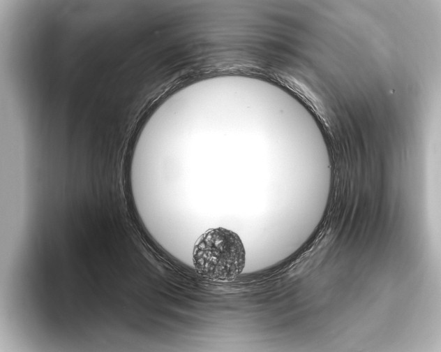 X0000093760405200710160840
