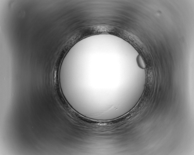 X0000093760406200710160840