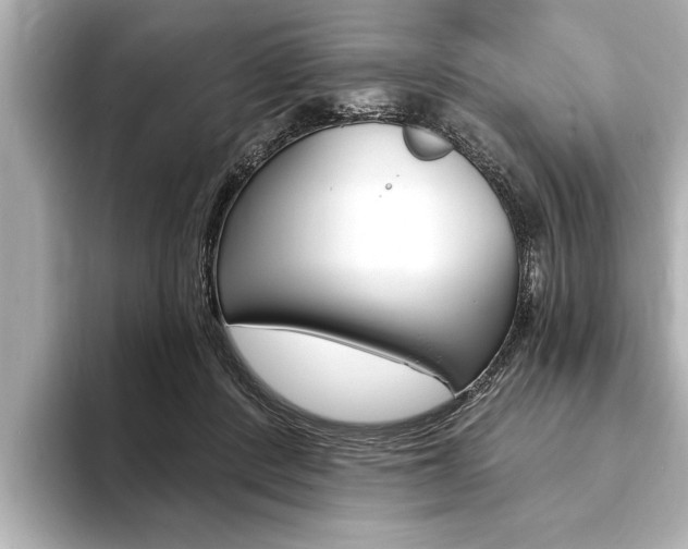 X0000093760408200710160840