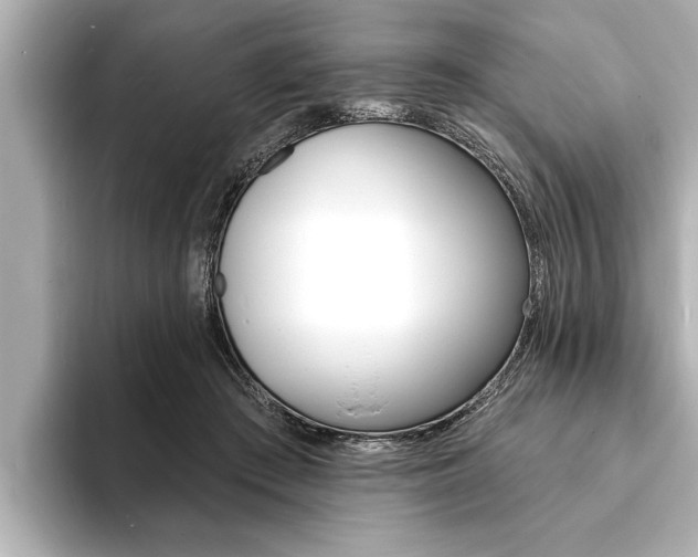 X0000093760409200710160840