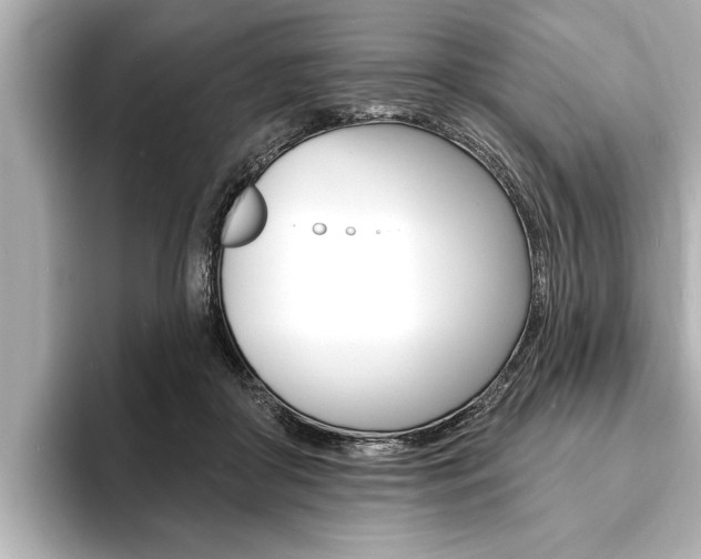 X0000093760410200710160840