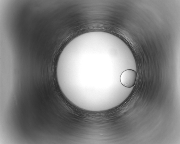 X0000093760411200710160840