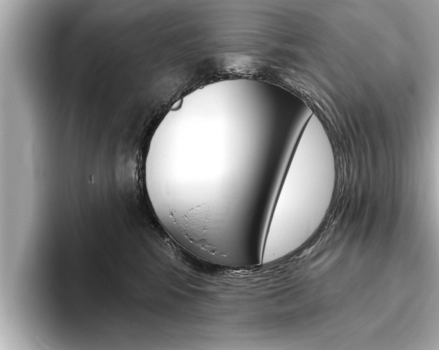X0000093760424200710160840