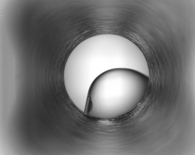 X0000093760425200710160840