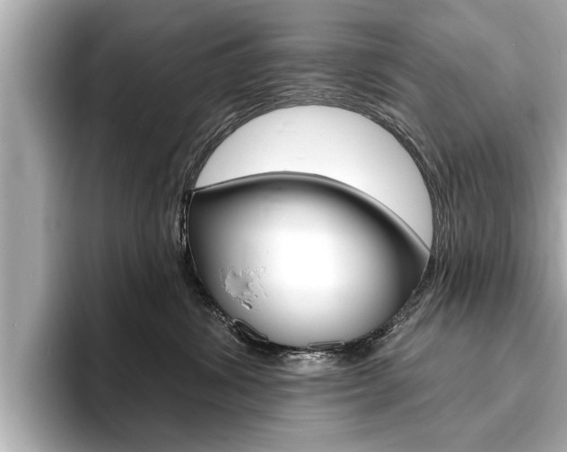X0000093760428200710160840