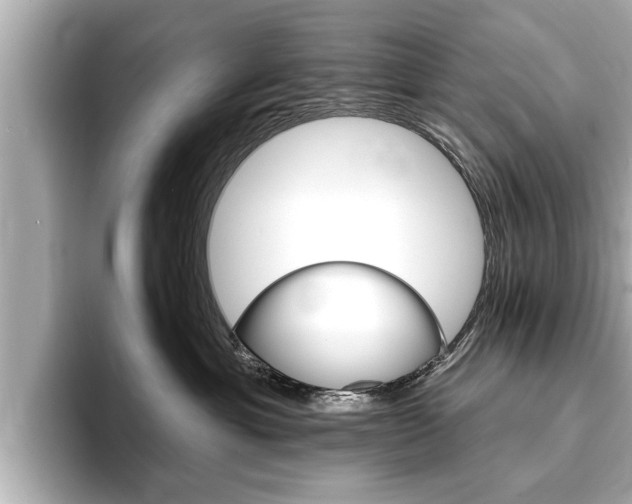 X0000093760429200710160840