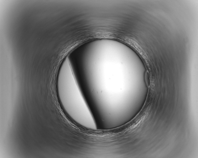 X0000093760433200710160839