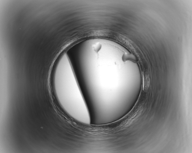 X0000093760435200710160839