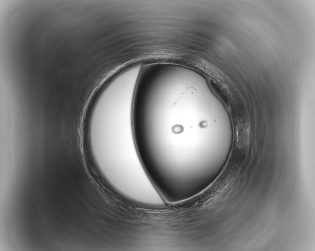 X0000093760436200710160839