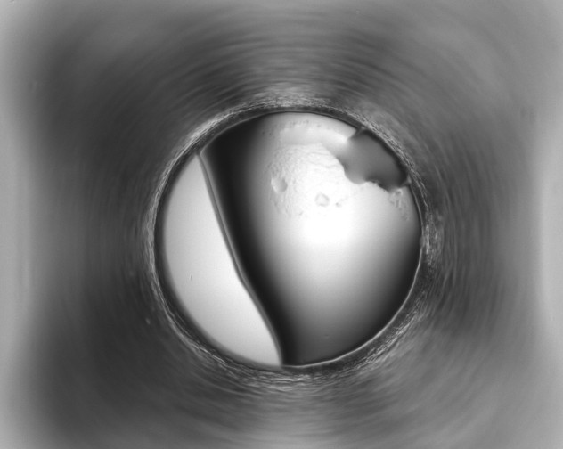 X0000093760438200710160839