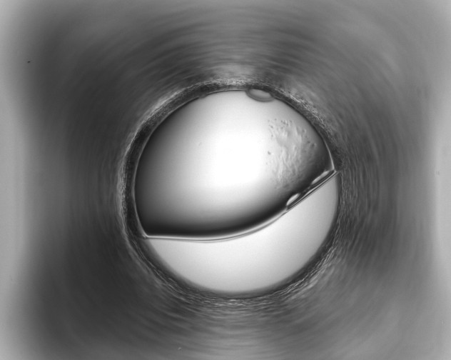X0000093760440200710160839