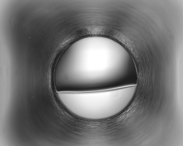 X0000093760442200710160839