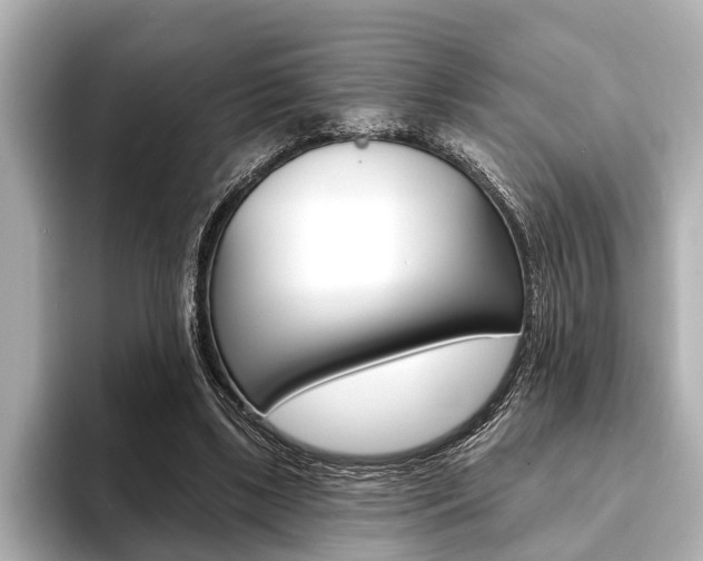 X0000093760443200710160839