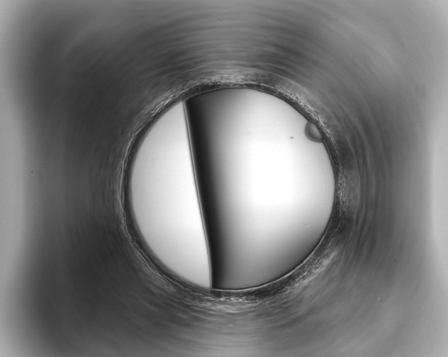 X0000093760445200710160839