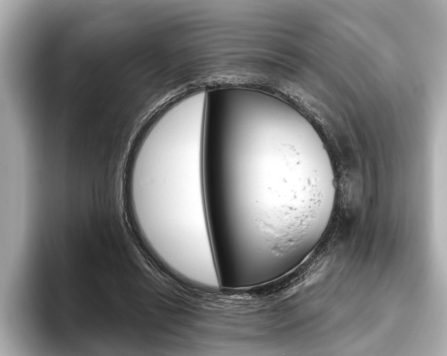 X0000093760446200710160839