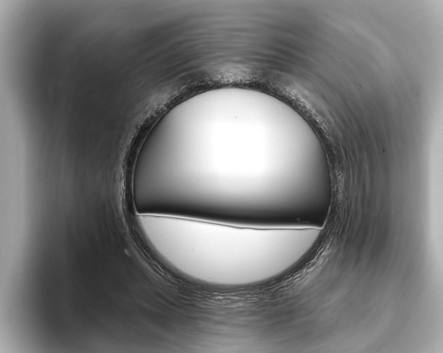 X0000093760447200710160839