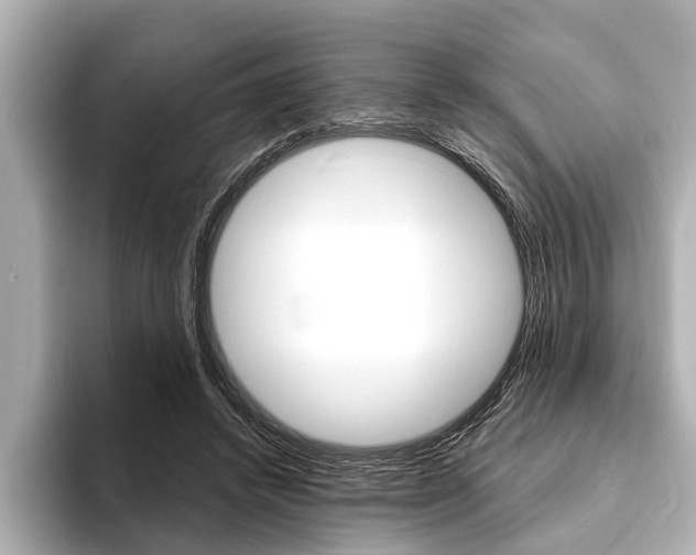 X0000093760448200710160839