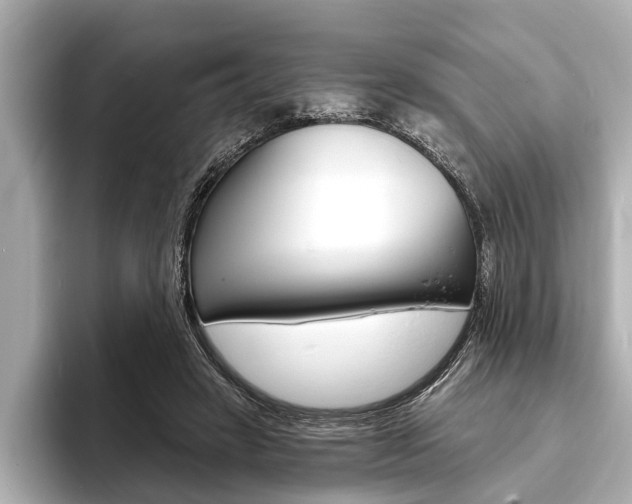 X0000093760449200710160839