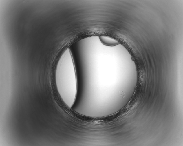 X0000093760451200710160839