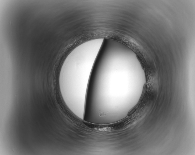 X0000093760452200710160839