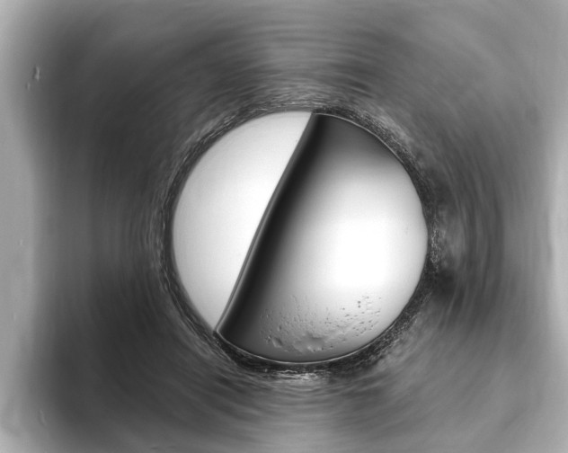 X0000093760454200710160839