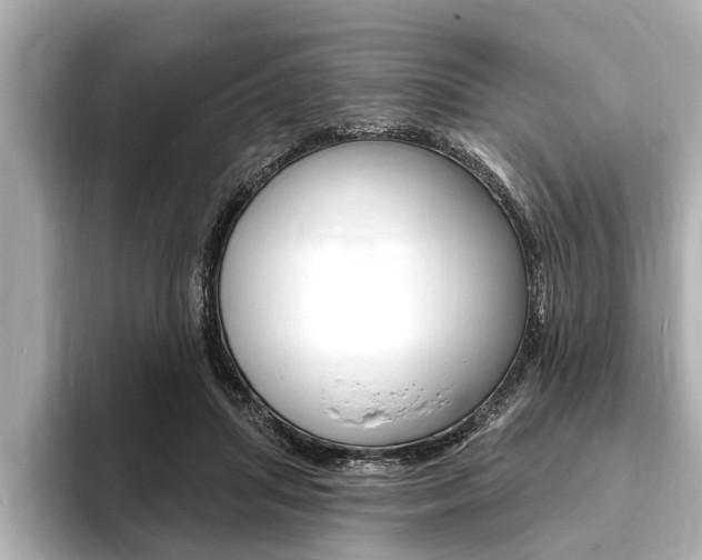 X0000093760455200710160839