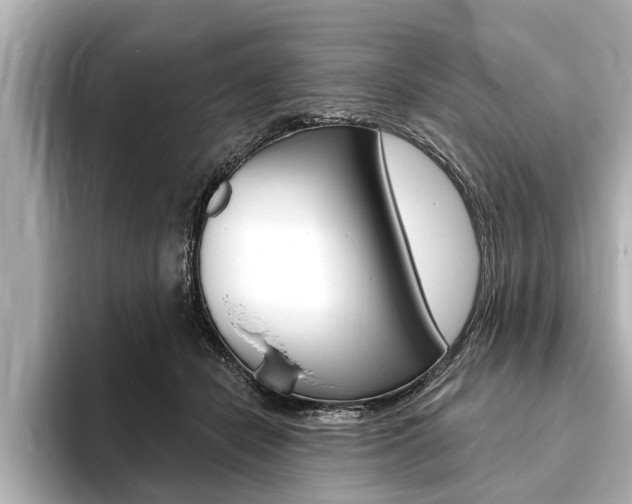 X0000093760462200710160839