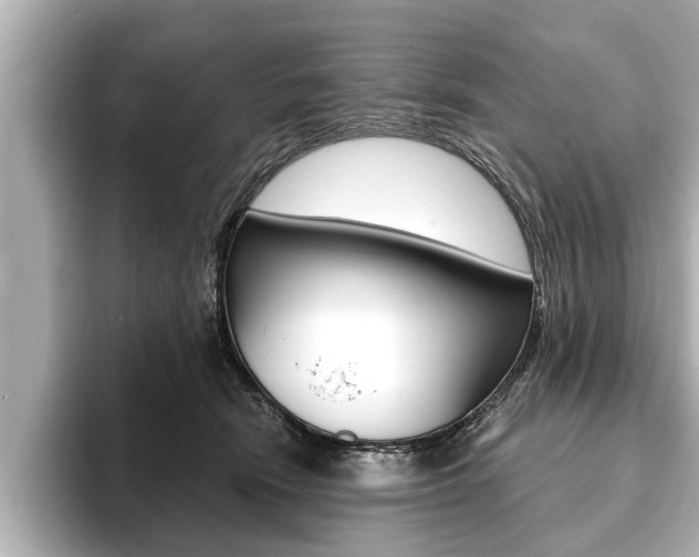 X0000093760466200710160839