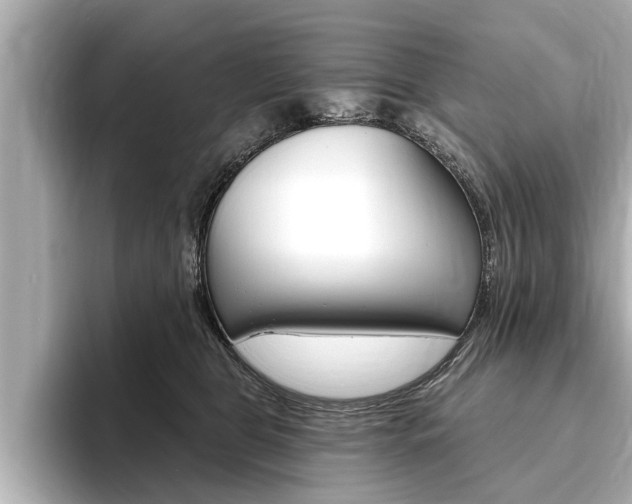 X0000093760469200710160839