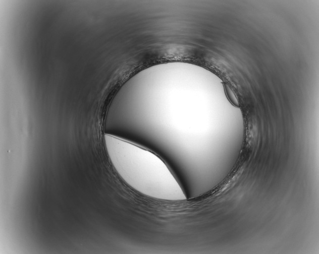 X0000093760473200710160840