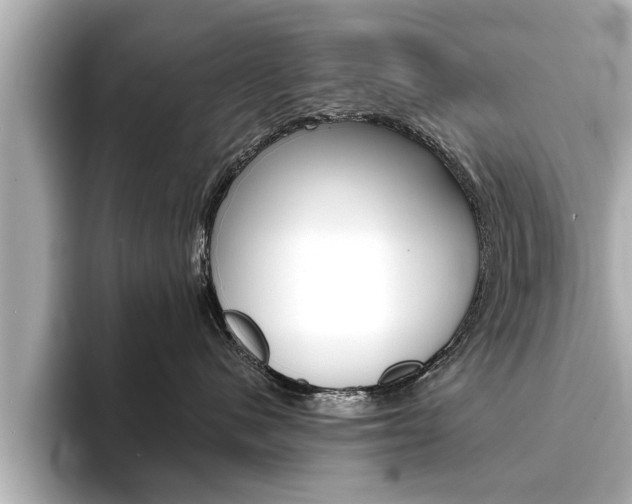 X0000093760480200710160840