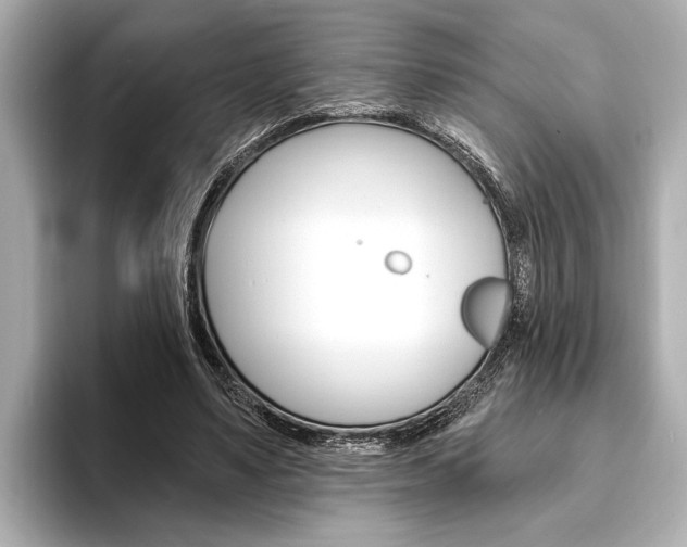 X0000093760491200710160839