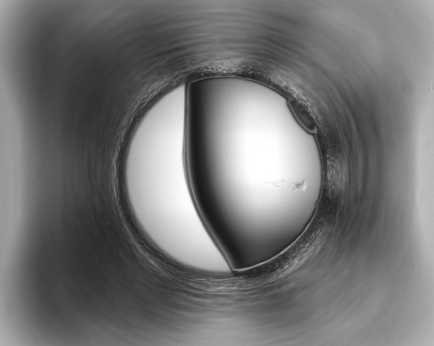 X0000093760493200710160839