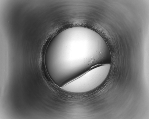 X0000093760496200710160839