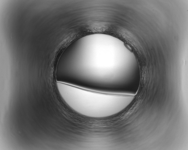 X0000093760501200710160839